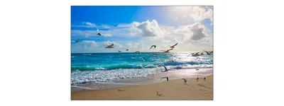 Immagine prodotto di Muralo foto spiaggia 90 (L) x 60 (A) cm carta da parati in tessuto non tessuto murale mare gabbiani cielo soggiorno camera da letto murales moderno XXL natura panorama acqua decorazione murale