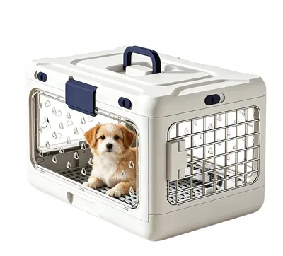 Immagine prodotto di Trasportino pieghevole e portatile per cani