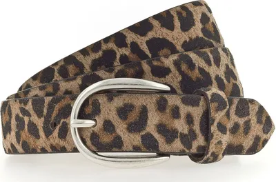 A close-up studio shot of a leopard print belt with a silver buckle.