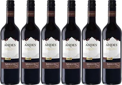 Produktbild von Andes Merlot Qualitätswein trockener Rotwein aus Chile 4500ml, 6er Pack