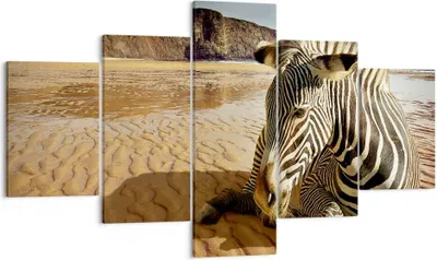 Produktbild von Bild auf Leinwand - Leinwandbild - Zebra Strand Landschaft - 125x70cm - Wand Bild - Wanddeko - Leinwanddruck - Bilder - Kunstdruck - Wanddekoration - Leinwand bilder - Wandkunst - EA125x70-0213