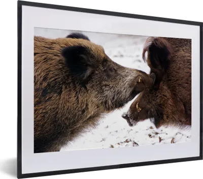 Produktbild von MuchoWow® MuchoWow® Gerahmtes Poster Wildschwein - Tier - Schnee 40x30 cm - Poster mit zchwarzem Bilderrahmen - Bilderrahmen - Poster im Rahmen