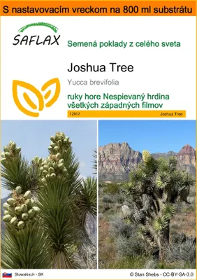 Obrázok produktu pre SAFLAX Garden in the bag - Joshua Tree - Yucca brevifolia - 10 Semená - S pestovateľským substrátom v praktickom samostaviteľnom vrecku