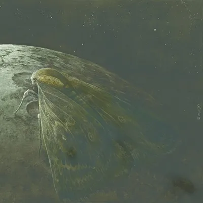 Produktbild von Augrimmer-Moth And The Moon