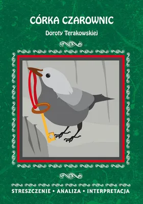Immagine prodotto di Córka Czarownic Doroty Terakowskiej (Buch auf Polnisch)