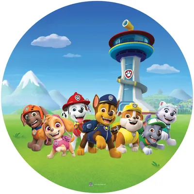 Immagine prodotto di Sanders & Sanders Carta da parati rotonda autoadesiva PAW Patrol blu e verde - 601292 - Ø 70 cm
