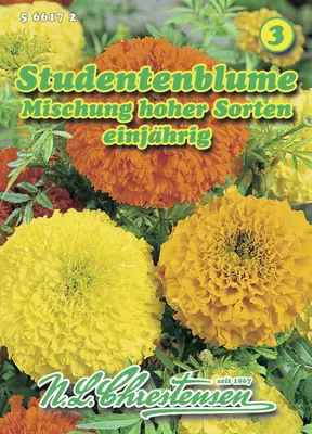 Produktbild von Studentenblume hoher Mischung | Studentenblumensamen von N.L. Chrestensen
