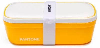 Bento-Lunchbox mit Trennwand, 1,7 l, 21x12x7 cm, Gelb