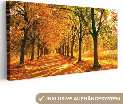 Produktbild von MuchoWow® - Leinwandbilder - Wald - Herbst - Jahreszeiten - Ländlich, Wandbild, Wanddeko Bilder Wohnzimmer, 40x20 cm