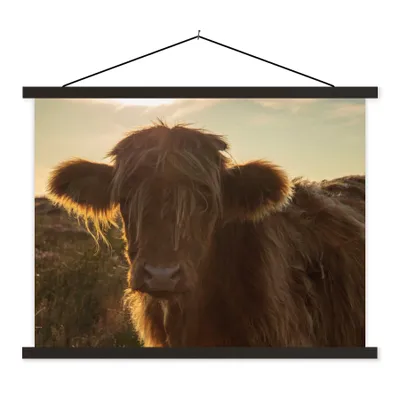 Produktbild von MuchoWow® Textilposter Schottischer Highlander - Sonnenuntergang - Gras 150x113 cm mit schwarzem Rahmen - Wohnzimmer