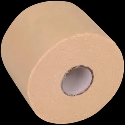 Produktbild von DEHN Korrosionsschutzbinde, B 100mm, L 10m, 1 Stk.