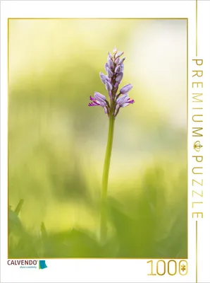 Produktbild von CALVENDO Puzzle Helm-Knabenkraut | 1000 Teile Lege-Größe 64x48cm Foto-Puzzle für glückliche Stunden