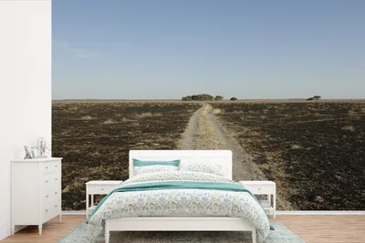 Produktbild von MuchoWow® Fototapete für Wohnzimmer oder Schlafzimmer Wandtapete Vinyl Motivtapete Trockene Ebenen im Zentral Kalahari Wildreservat in Afrika - 330x220 cm - Fototapeten