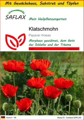 Produktbild von SAFLAX Anzucht Set - Klatschmohn - Papaver rhoeas - 27000 Samen - Mit Mini-Gewächshaus, Anzuchtsubstrat und 2 Töpfen
