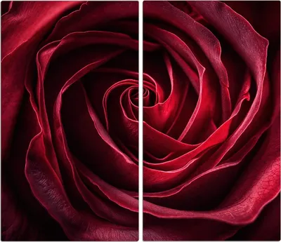Produktbild von Spritzschutz Herdabdeckplatte Schneidebrett aus Glas Rose Makroaufnahme 2-Teilig (60x52cm)