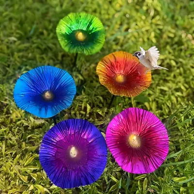 Productafbeelding van Regenwateropvanger voor in de tuin, van metaal, 25 x 14 cm
