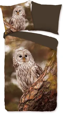 Produktbild von Good Morning Bettwäsche Eule - 200x200 cm - 100% Baumwolle