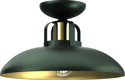 A close-up studio shot of a black and gold ceiling light fixture.