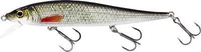 Produktbild von Westin Jerkbite SR 11cm 13,5g Suspending Real Roach