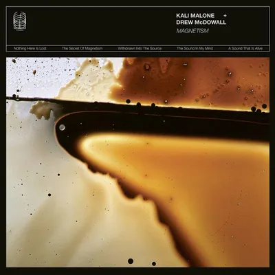 Produktbild von Magnetism
