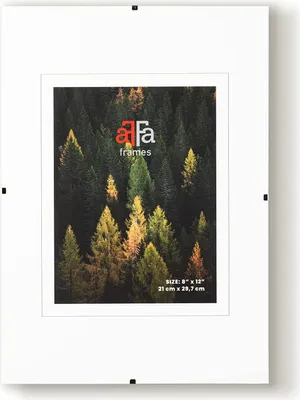A white frame with a picture of a forest inside.