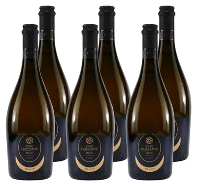 Produktbild von Saluti Vino Frizzante Bianco Secco (6 x 0,75L)