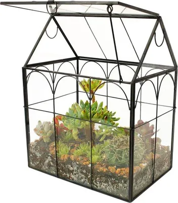Produktbild von Handgefertigter Glas-Terrarium, Durchsichtig, Einzelstück