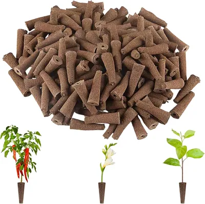 Produktbild von Anzuchtschwämme 5.5 cm, 50 Stück, für Indoor-Garten, Ersatzschwämme