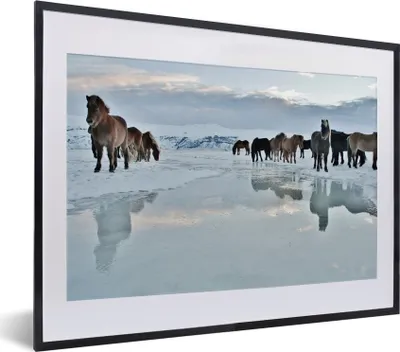 Produktbild von MuchoWow® MuchoWow® Gerahmtes Poster Pferde - Eis - Schnee 40x30 cm - Poster mit zchwarzem Bilderrahmen - Bilderrahmen - Poster im Rahmen