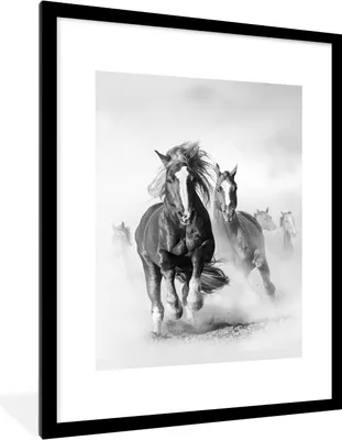 Produktbild von MuchoWow® Gerahmtes Poster Pferde - Tiere - Illustration 60x80 cm - Poster mit Schwarzem Bilderrahmen Wandposter Rahmen Foto Bilder - Wohnzimmer - Dekorationen - Prämie