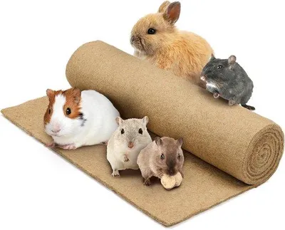 Produktbild von Famanu Hennepstrooisel 40x100 cm - für Käfigboden von Kaninchen und Hamstern