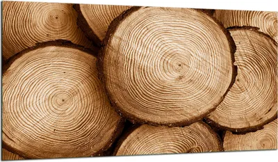 Produktbild von Herdabdeckplatte Glaskeramikkochfeld-Abdeckung Spritzschutz Glas 90x52 Holz