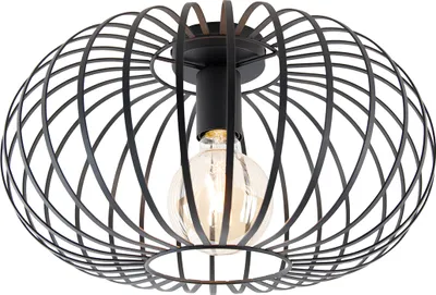 Produktbild von Smarte Deckenleuchte Schwarz 39 cm inkl  Wifi G95 Johanna