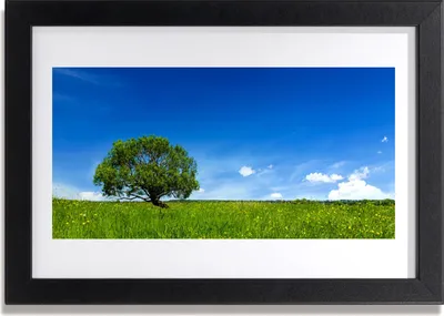 Produktbild von Bild 30x20 MDF-Rahmen Wandkunst Grass Baum Natur
