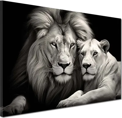 Produktbild von Löwenpaar Schwarz Weiß Tierportrait Wandbild Leinwandbild Kunstdruck Wanddeko: 150x100x4cm