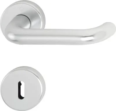 A silver door handle and escutcheon plate against a white background.
