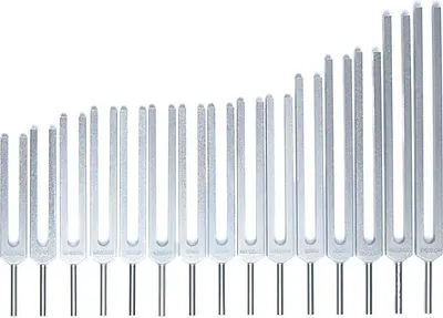 Image de Diapason Organes Humains - 69x29 Cm