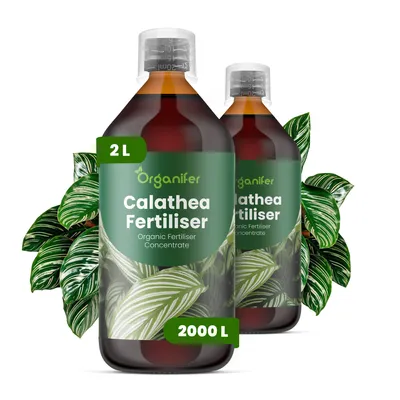Produktbild von Calathea Flüssigdünger 2x1L – 2-1-8 NPK – Flüssigdünger Zimmerpflanzen – Für Blätter & Üppiges Blattwerk – Fördert Wurzeln & Vitalität – Organifer