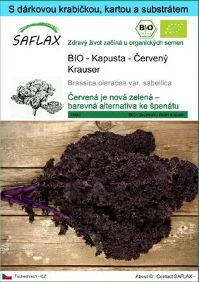 Obrázek produktu pro SAFLAX Dárková sada - BIO - Kapusta - Červený Krauser - Brassica oleracea var. sabellica - 50 Semena - S dárkovou krabičkou, přepravním štítkem, dárkovou kartou a pěstebním médiem