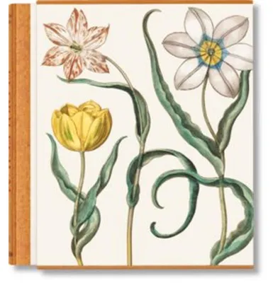 Produktbild von Basilius Besler. The Garden at Eichstätt