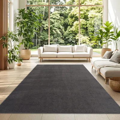 Produktbild von TT Home Wohnzimmer Teppich Kurzflor Anti-Rutsch Rückseite Unifarben Modern Waschbar Größe 300x400 cm