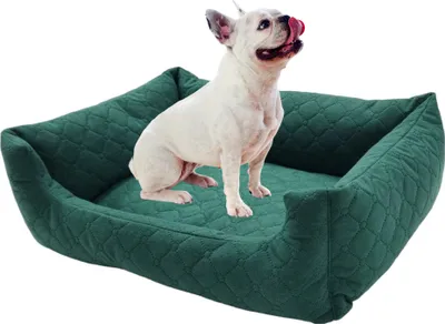 Image de Panier pour chien Petit chien Canapé pour chien Panier pour chien avec bords relevés ( 58 x 47cm vert bouteille )