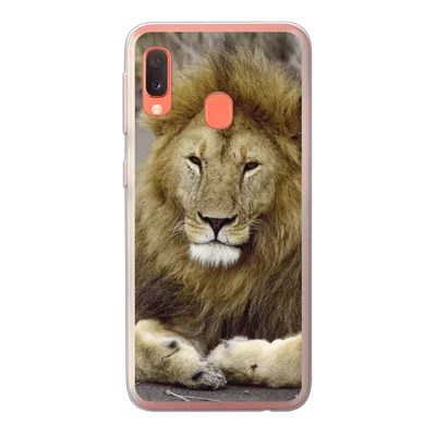 Produktbild von MuchoWow® Handyhülle Schutzhülle Hülle für Samsung Galaxy A20e Löwe - Afrika - Tier Silikon Softcase Handy Hülle - Abdeckung