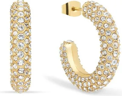Image de Créoles en acier fin avec pierres - Bering Jewelry modèle : 739-27-05