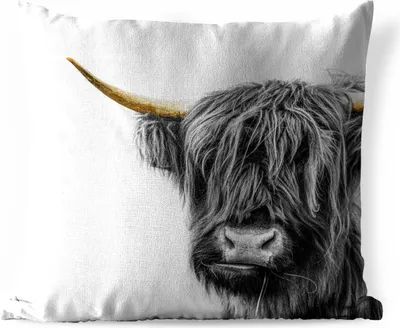 Produktbild von MuchoWow® Outdoor Kissen - Schottisches Hochlandrind - Tiere - Goldene Hörner - 45x45 cm - Wetterfest - Lounge Kissen - Fotokissen - Dekoratives Kissen