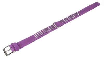Produktbild von Karlie Buffalo Strass-Halsband - Violett - 3-reihig, 65cm/40mm