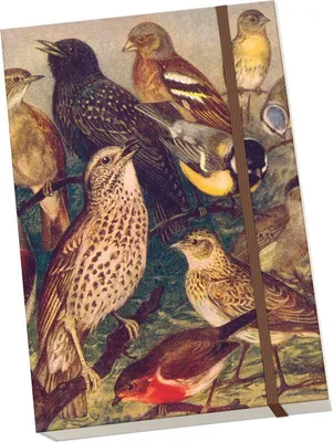 Immagine prodotto di Taccuino Birds