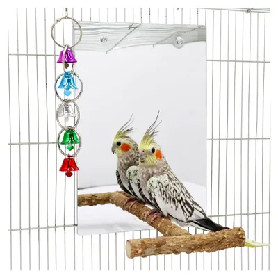 Produktbild von Vogelspiegel 30 × 20 cm mit Sitzstange und Schaukelglockenspiel, Zubehör für Vogelkäfige, geeignet für Wellensittich, Nymphensittich, Ziegensittich, Unzertrennliche