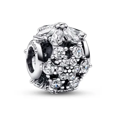 Produktbild von Pandora Charm Herbarium Cluster Round 792383C01 Silber