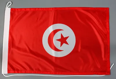 Produktbild von Bootsflagge Tunesien 30x45 cm Motorradflagge Bootsfahne